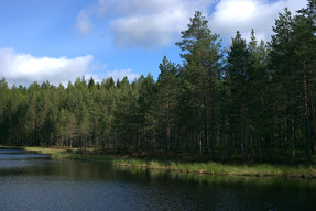 20150601_0835