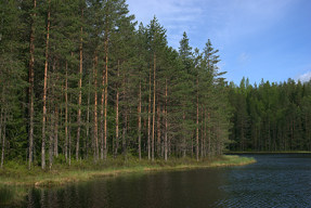 20150601_0844