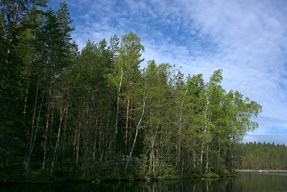 20150601_0915