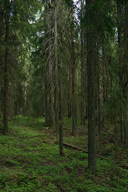 20150602_1250