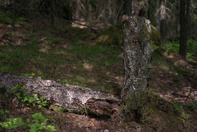 20150602_1323