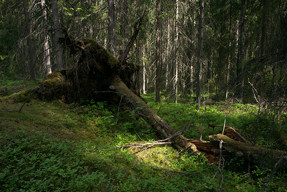 20150608_1111