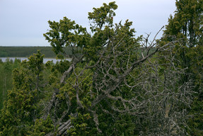 20150610_1158