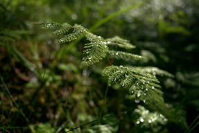 20150620_0842