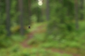 20150620_1035