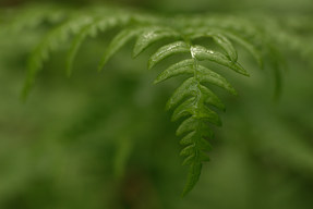 20150620_1134