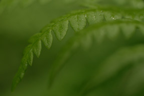 20150620_1136