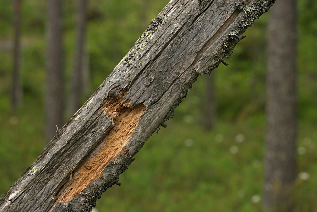20150621_182848_CY100F3.5@f8.0_1per10s_ISO80_A7.r2.64_1_1.29_1_k139_W_H9_b3_g2.1_3.4.30_0.3_Lanczos2_1280_0.3_1.0.jpg