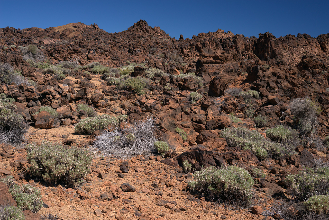 20150410_120603_ZL50F2.0@f8.0_1per160s_ISO100_A7r.r2.6_1_1.6_1_k130_W_b3_H0_g2.2_4.1.20_0.15_Lanczos2_1280_0.3_1.0.jpg