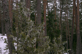 20160313_1248