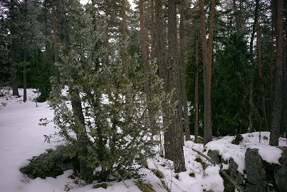 20160313_1258