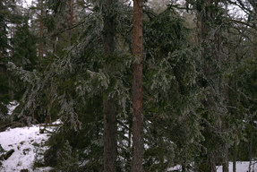 20160313_1318