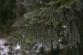 20160313_1321