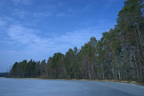20160328_1547