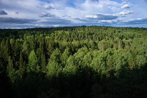 20160708_1946
