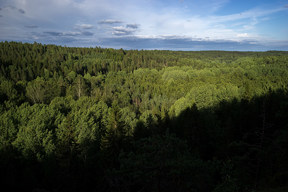 20160708_2006