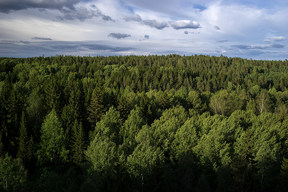 20160708_2007