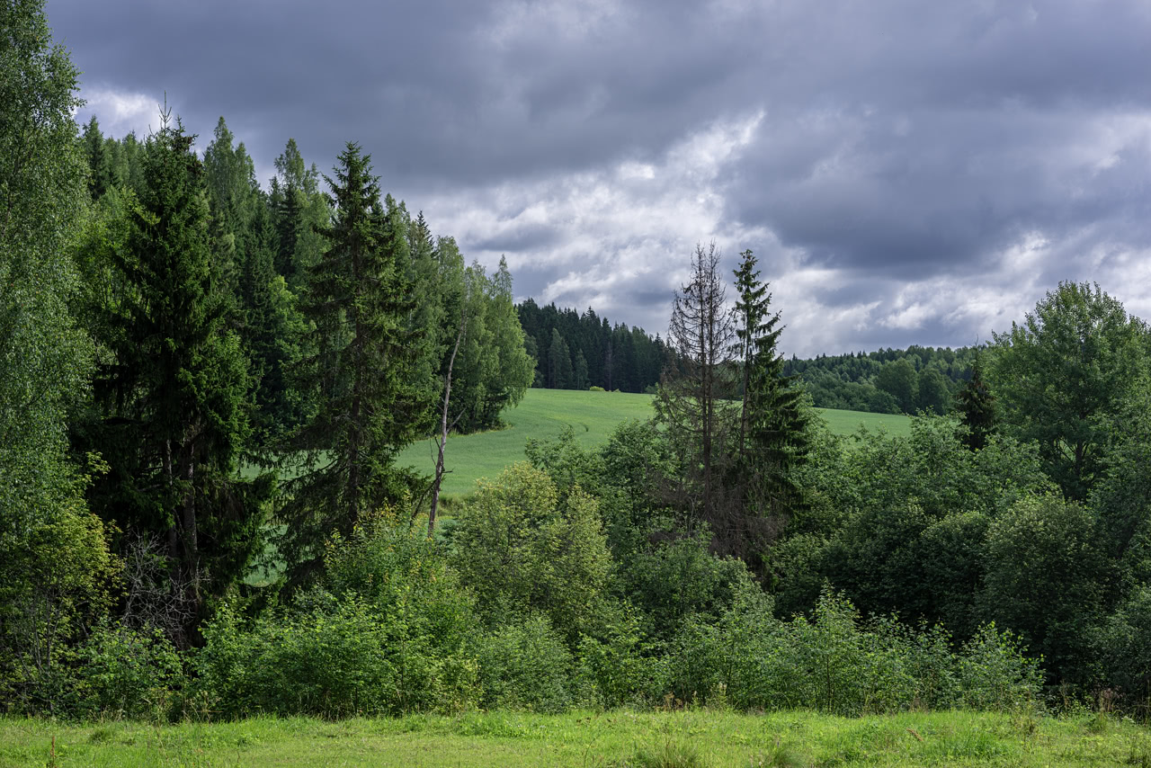 20160713_101831_FE55F1.8@f8.0_1per125s_ISO100_A7r.20_0.15_Lanczos2_1280_0.3_1.0.jpg