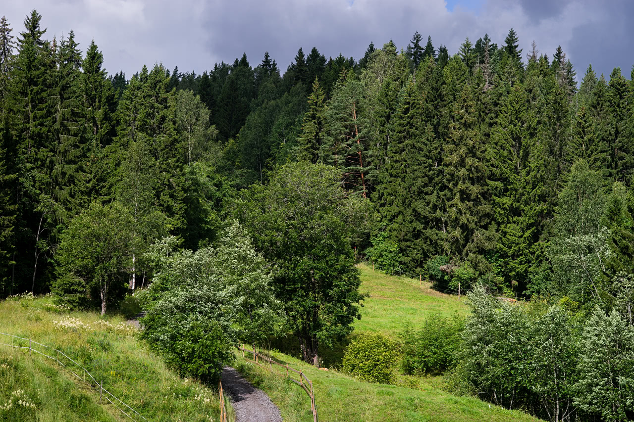 20160713_104539_LM90F2.0@f8.0_1per320s_ISO200_A7M2.20_0.15_Lanczos2_1280_0.3_1.0.jpg