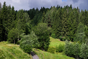 20160713_1045
