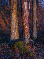 20170305_1746
