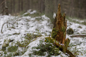 20170312_0941