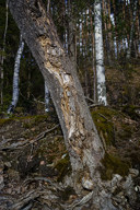 20170319_1551