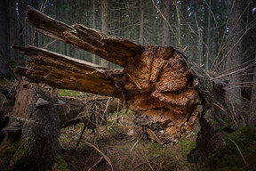 20170408_122735_ZG21F2.8@f8.0_1per4,15,60s_ISO160_A7M2-HDR.20_0.15_Lanczos2_1280_0.3_1.0.jpg