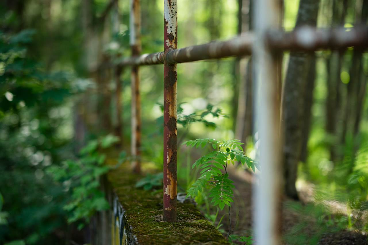 20170718_180108_FE85F1.4@f1.4_1per1000s_ISO100_A7M2.20_0.15_Lanczos2_1280_0.3_1.0.jpg