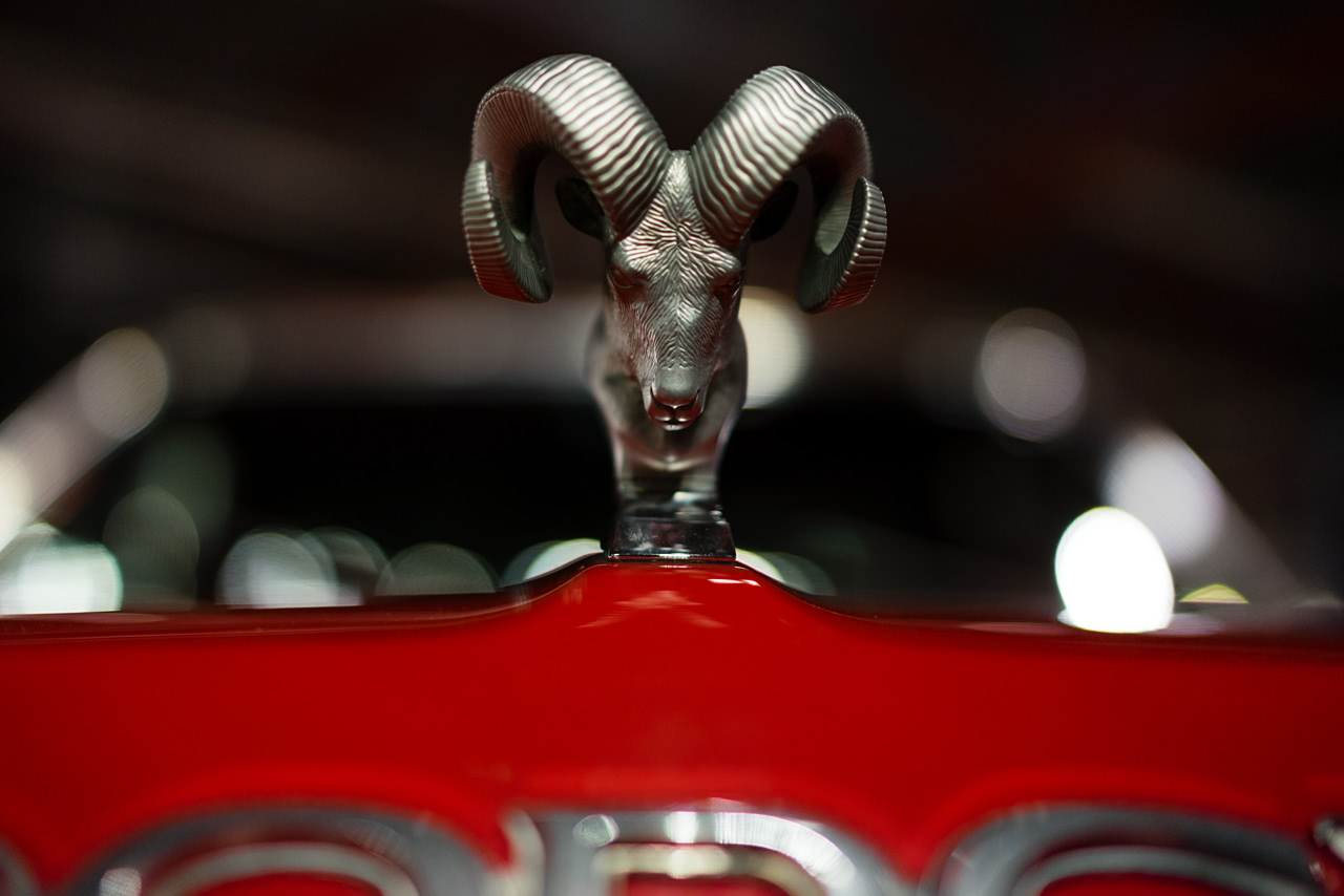 20170805_120004_FE35F1.4@f1.4_1per60s_ISO640_A7r.20_0.15_Lanczos2_1280_0.3_1.0.jpg