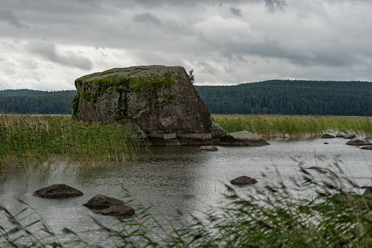 20170813_110527_ZL85F2.4@f2.8_1per500s_ISO100_A7M2.20_0.15_Lanczos2_1280_0.3_1.0.jpg