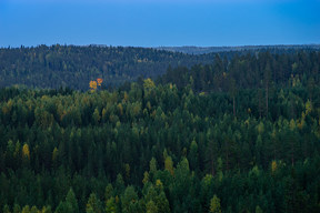 20170923_1901