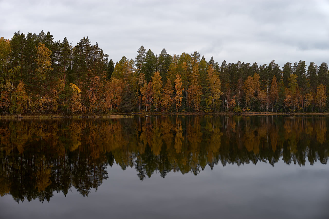20171001_115115_FE85F1.4@f5.6_1per25s_ISO100_A7M2.20_0.15_Lanczos2_1280_0.3_1.0.jpg
