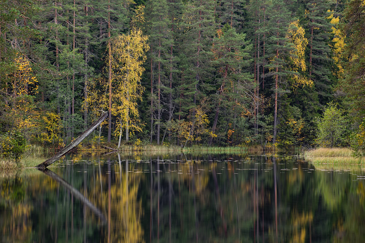 20171001_161816_MA100300F4.5@f14.0_180mm_1.3s_ISO50_A7.20_0.15_Lanczos2_1280_0.3_1.0.jpg