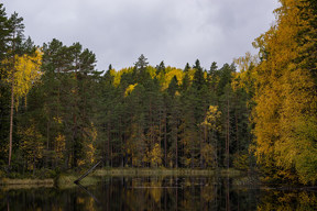 20171001_1549