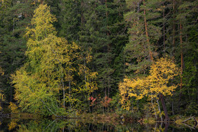 20171001_1619