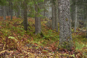 20171021_1451