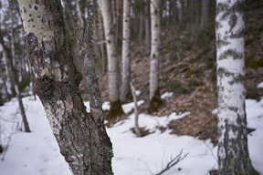 20180404_1844