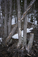 20180404_1849