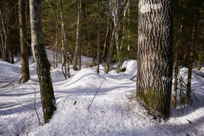 20180407_1516