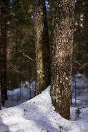 20180407_1525