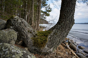 20180418_1817