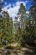 20180505_1554