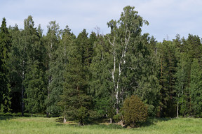 20180609_1757