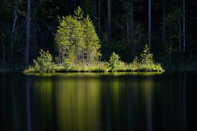 20180613_0832