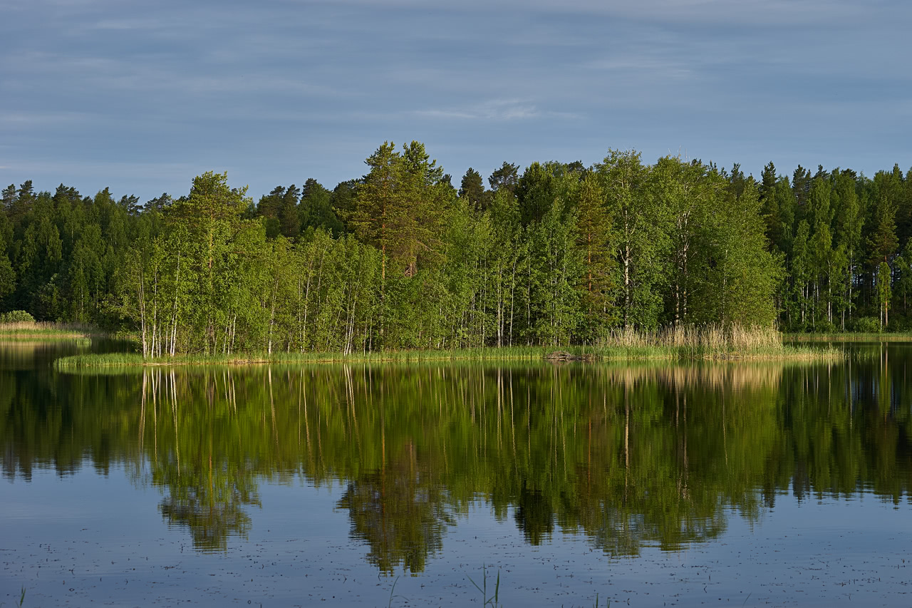 20180615_055638_SA70400F4@f8.0_100mm_1per200s_ISO200_A7M2.20_0.15_Lanczos2_1280_0.3_1.0.jpg