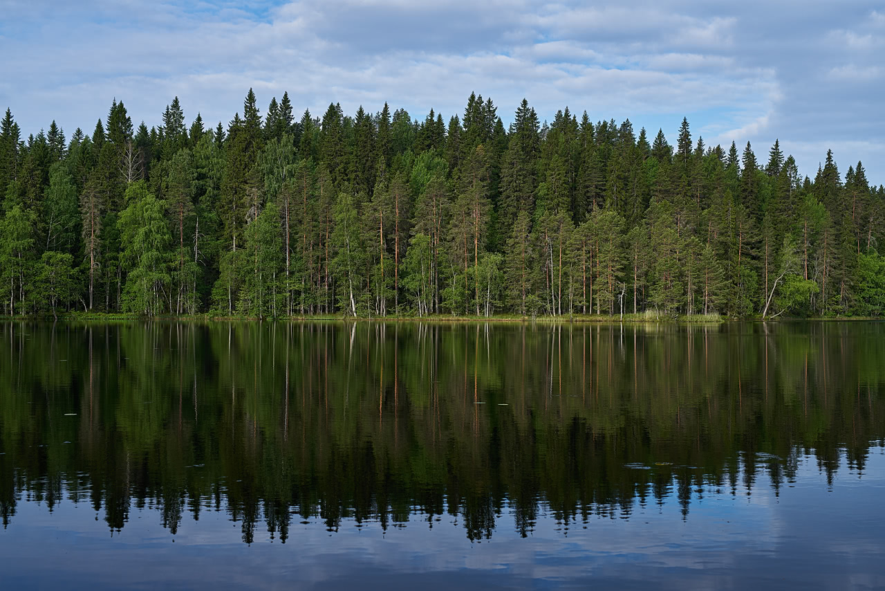 20180615_071058_SI50F1.4@f4.0_1per250s_ISO100_A7rM2.20_0.15_Lanczos2_1280_0.3_1.0.jpg