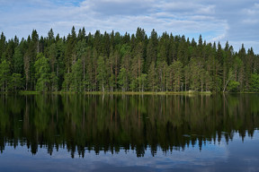 20180615_0710